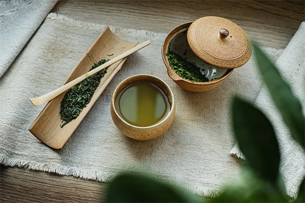 落葉性つる植物の育て方とおすすめ品種【失敗しないコツ】