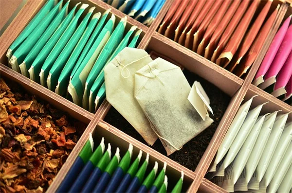 葉っぱの見分け方、初心者でもわかる！葉の形・縁・脈で一発識別